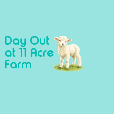 11 Acre Farm Outing